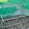 Two-Tier Plant Stands