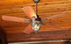 Outdoor Ceiling Fans with Lights at Lowes