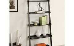 Leaning Ladder Bookcases