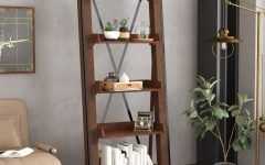 Leandra Ladder Bookcases