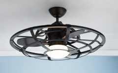 Outdoor Caged Ceiling Fans with Light