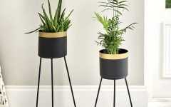 The 10 Best Collection of Black Plant Stands