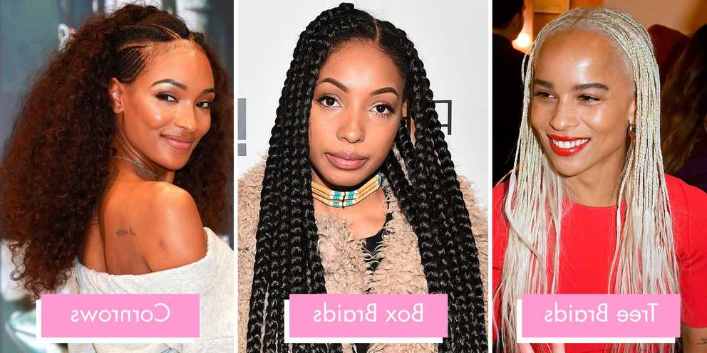 Most Up To Date Curly And Messy Micro Braid Hairstyles Intended For Braids And Twists 2019 – 14 Hairstyles From Crochet And Box (Gallery 8 of 20)