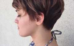Brunette Pixie Hairstyles with Feathered Layers