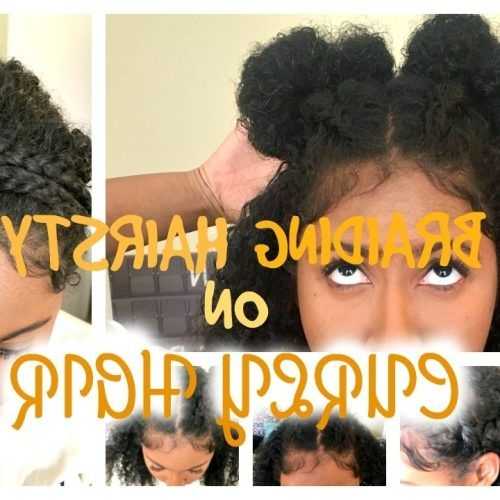 Braided Hairstyles On Curly Hair (Photo 11 of 15)