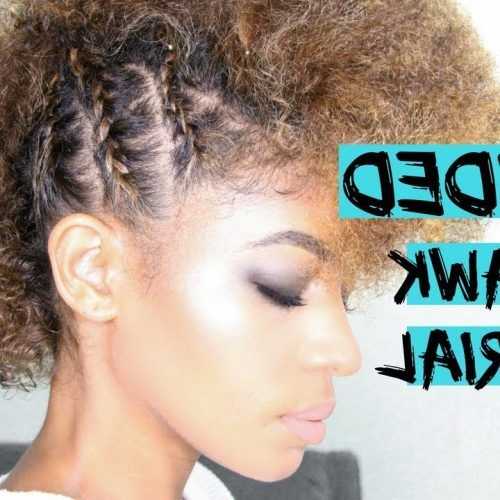 Curly Mohawk Updo Hairstyles (Photo 20 of 20)