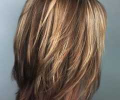20 Photos Fringy Layers Hairstyles with Dimensional Highlights