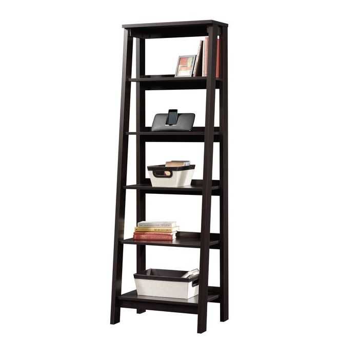 Featured Photo of Massena Ladder Bookcases