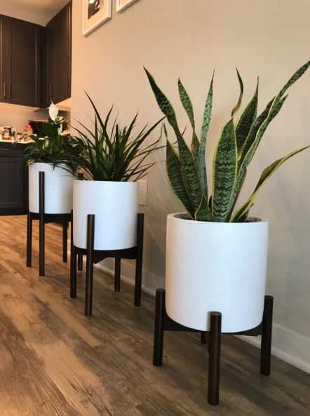Featured Photo of Set Of 3 Plant Stands