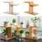 Particle Board Plant Stands