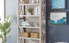 Oridatown Standard Bookcases