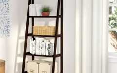 Ranie Ladder Bookcases