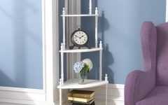 Ogden Corner Unit Bookcases