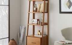 West Elm Bookcases