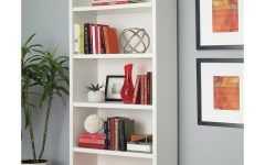 Decorative Standard Bookcases