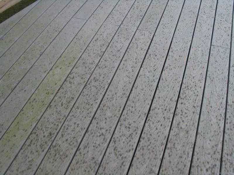 Featured Photo of Solve Trex Decking Problems Tips