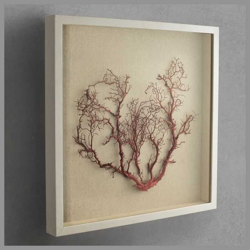 Featured Photo of Coral Wall Art