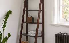 15 Best Wooden Ladder Bookcases