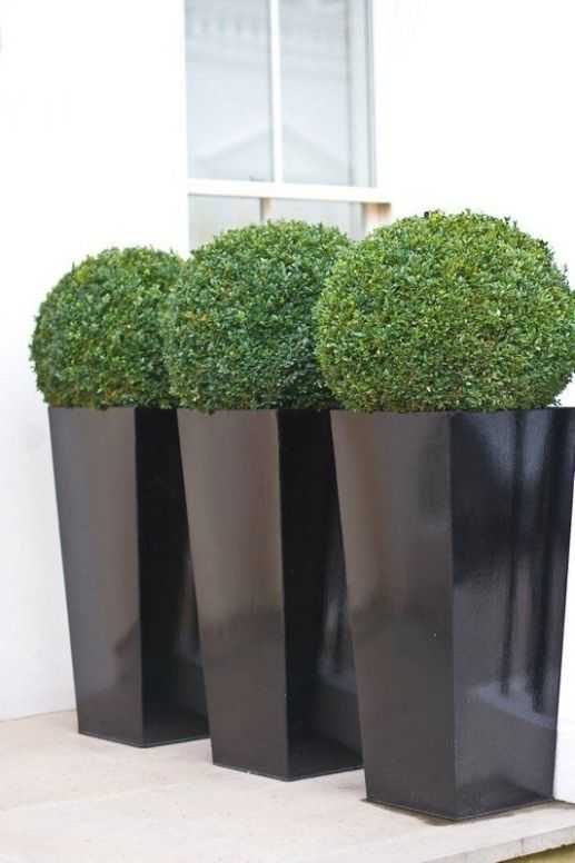Featured Photo of Plant Vases Outdoors