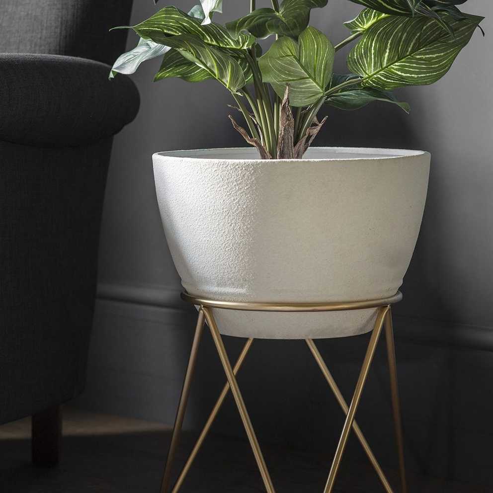 Featured Photo of Ivory Plant Stands