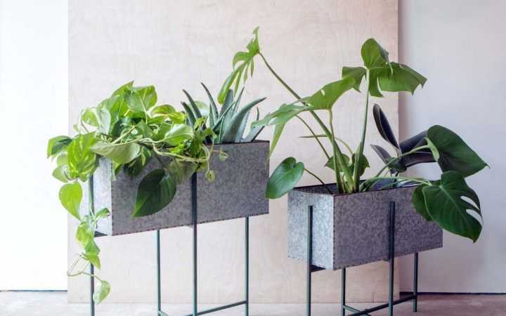 15 Ideas of Rectangular Plant Stands