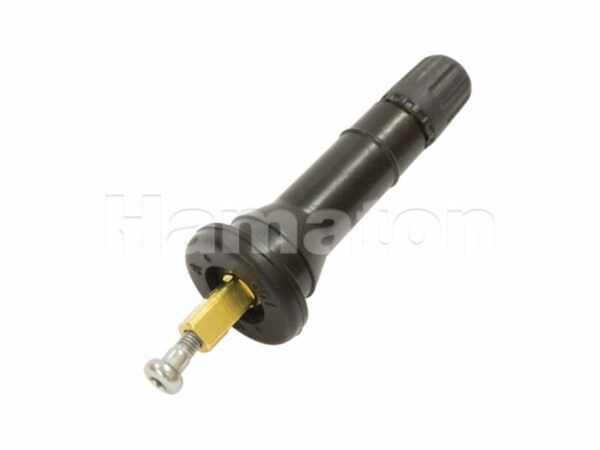 Replacement Snap-In High Speed Valves for Schrader TPMS Sensors 6-210H from Concept Garage Equipment