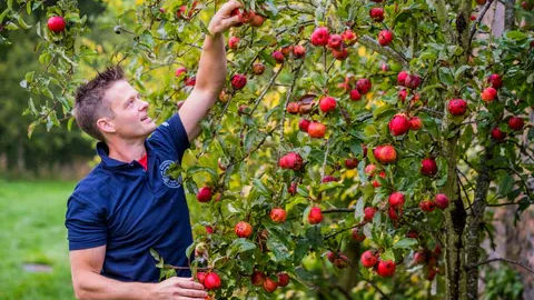 Naughton Cider Company