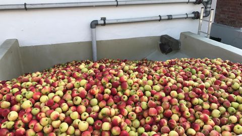 Sortenreine Fruchtsäfte aus Nordrhein-Westfalen