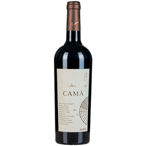 Scala Vini-Scala Gusti AG, S-Fabrik / Cama IGT Marche