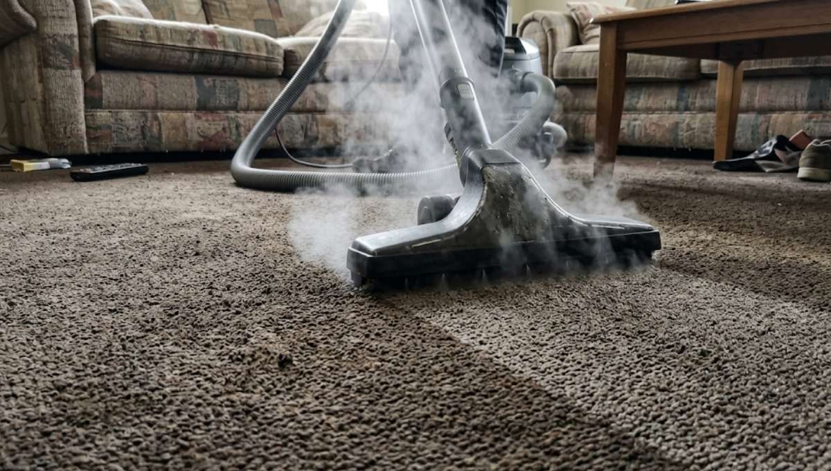 FAQS about Professional Steam Cleaning Services in Star City, AR