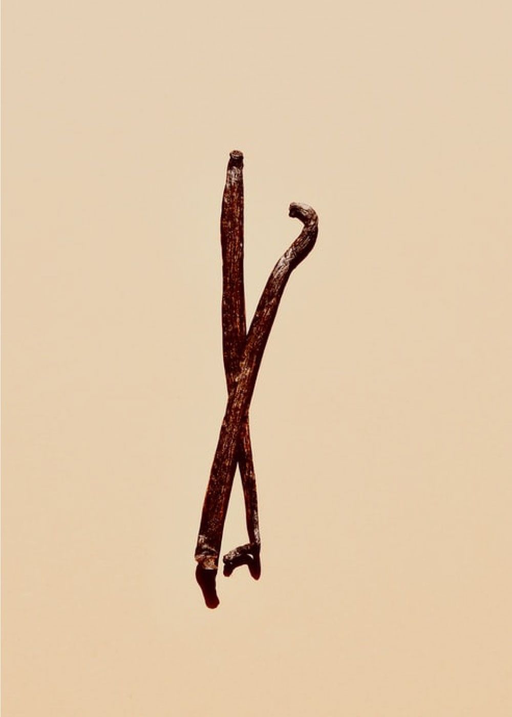 Firmenich-2