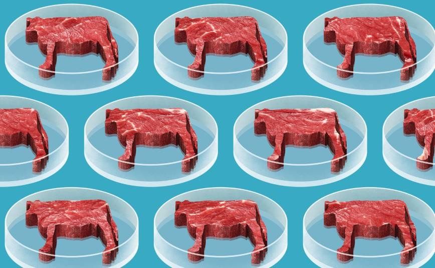 synthetic-meat_cooke_1