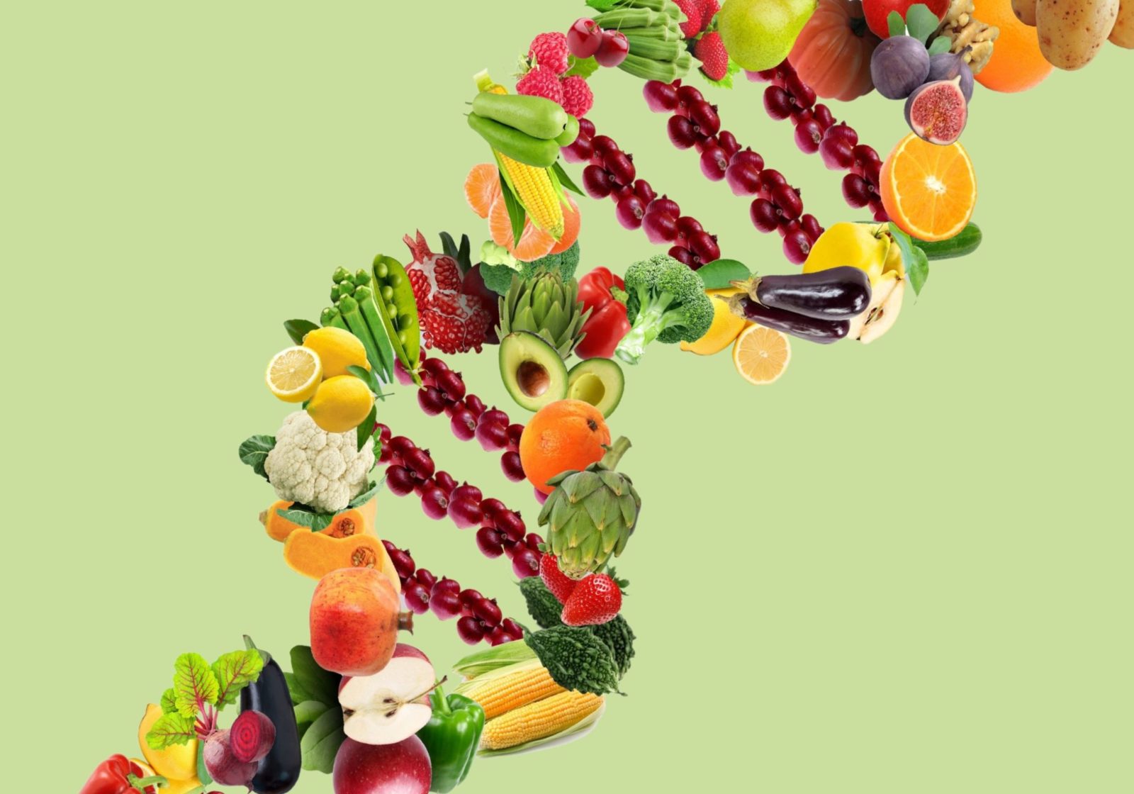 Nutrition-Platform-Illustration (1)