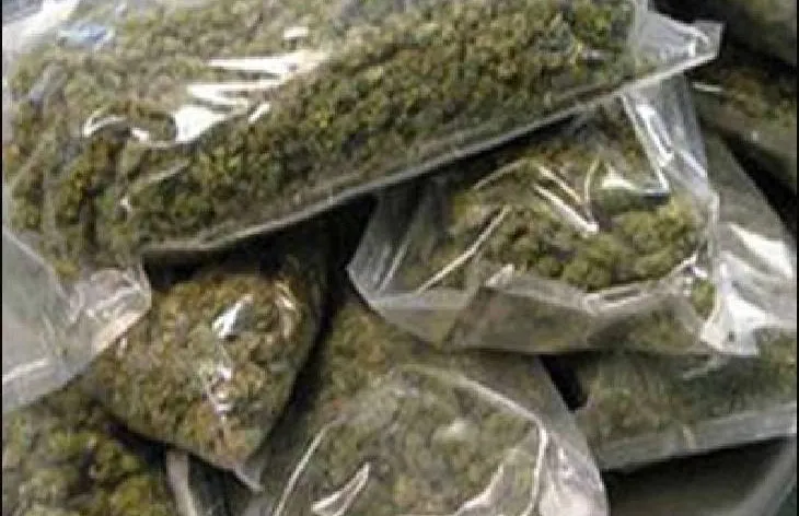 गांजा विक्रीसाठी आलेल्या आरोपी पुणे शहर पोलिसांच्या जाळ्यात. 20 किलो गांजा जप्त