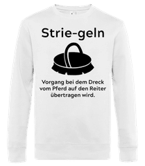 Definition Des Striegelns · Männer Standard Pullover