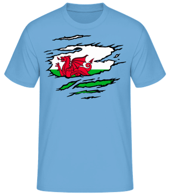 Zerrissene Fahne Wales - Männer Basic T-Shirt - Hellblau - Vorne