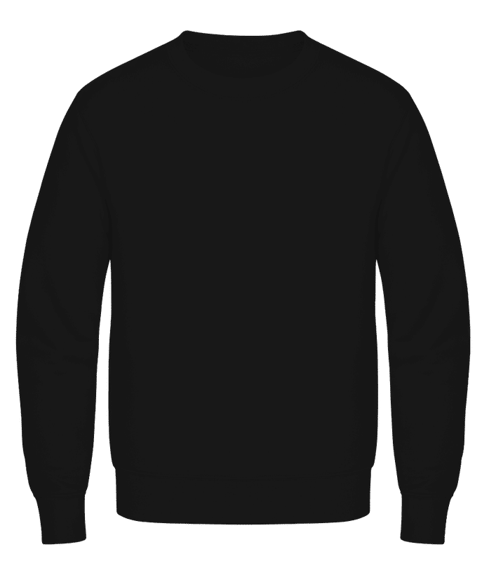 Pull sans capuche homme Awdis – Vue de face