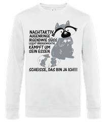 Nachtaktiver Waschbär · Männer Standard Pullover