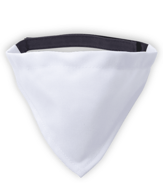 Preview: Dog scarf large - White - Front
