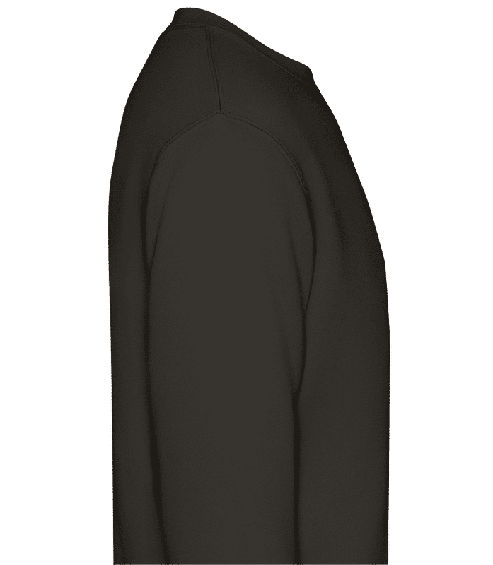 Aperçu: Sweatshirt Homme - Gris - Droite