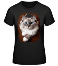 Cat Looks Through A Peephole - Women's Basic T-Shirt - Black - Front