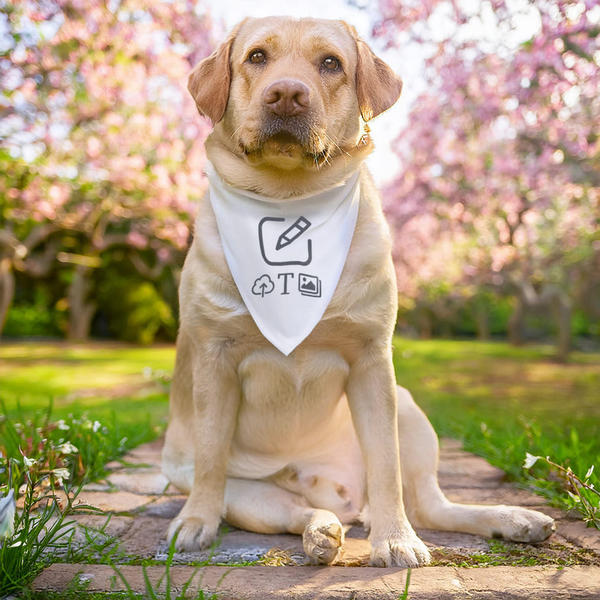 Preview: Dog scarf large - White