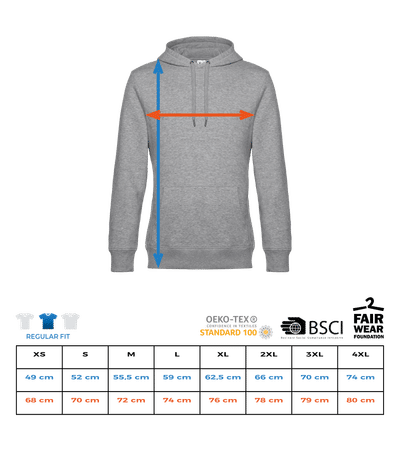 Disney Classics - Phineas and Ferb - Phineas and Ferb Oval Logo - Unisex Hoodie - Size chart