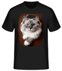 Katze Schaut Durch Ein Guckloch - Männer Basic T-Shirt - Schwarz - Vorne