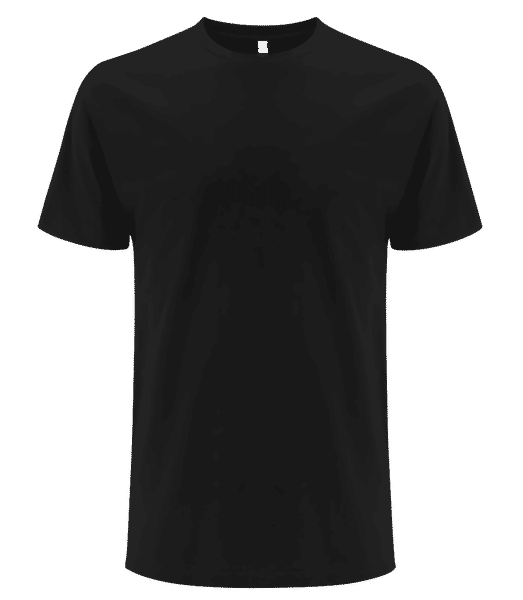 Aperçu: T-shirt bio Homme EarthPositive - Noir - Devant