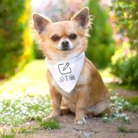 Dog scarf small - White