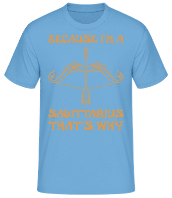 Sagittarius That's Why - Pánské basic tričko - Světle modrá - Napřed