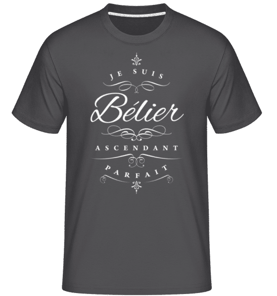 Aperçu: Je Suis Bélier Ascendant Parfait -  T-Shirt Shirtinator homme - Anthracite - Devant