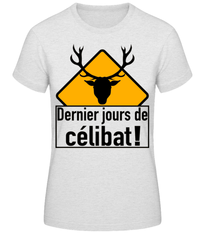 Aperçu: Célibat - T-shirt femme B&C - Gris chiné - Devant