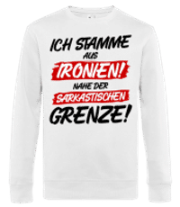 Ich Stamme Aus Ironien - Männer Standard Pullover - Weiß - Vorne